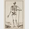Pocztówka – Antoine Prévost  „Układ mięśniowy i szkieletowy wg Andreasa Vesaliusa„