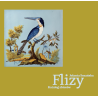 Flizy. Katalog zbiorów