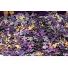 Puzzle Skarb Średzki - 1000 elemetów